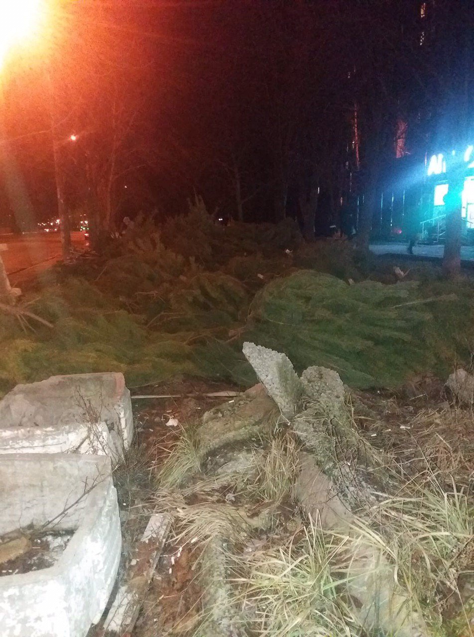 Борщаговка