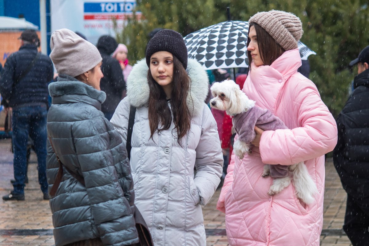 Все в теплых пуховиках, собачка также не уступает своим нарядом