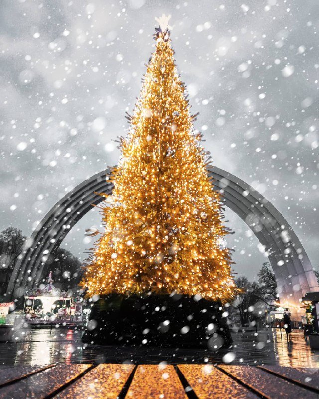 Долгожданный... Фото: @sergeyognarov