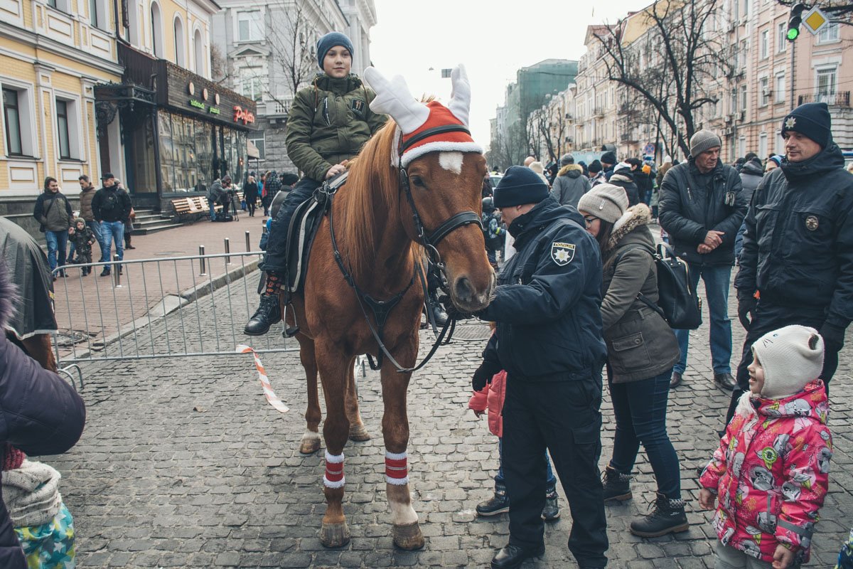 Тут развелкались даже олени..ой... лошади Санты