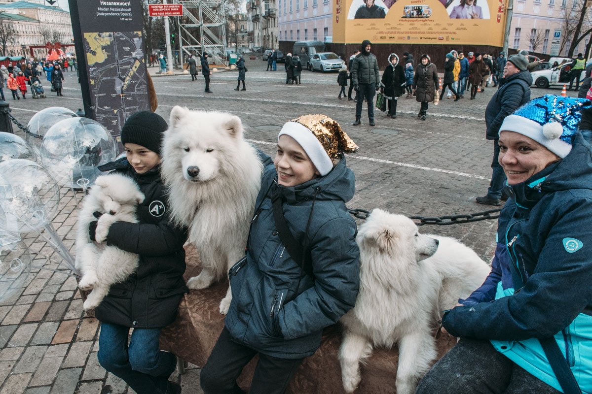 А вот и местные любимцы, с которыми все хотят фото