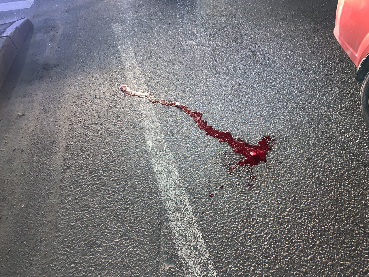 Пострадавшего парня госпитализировали в больницу Пострадавшего парня госпитализировали в больницу