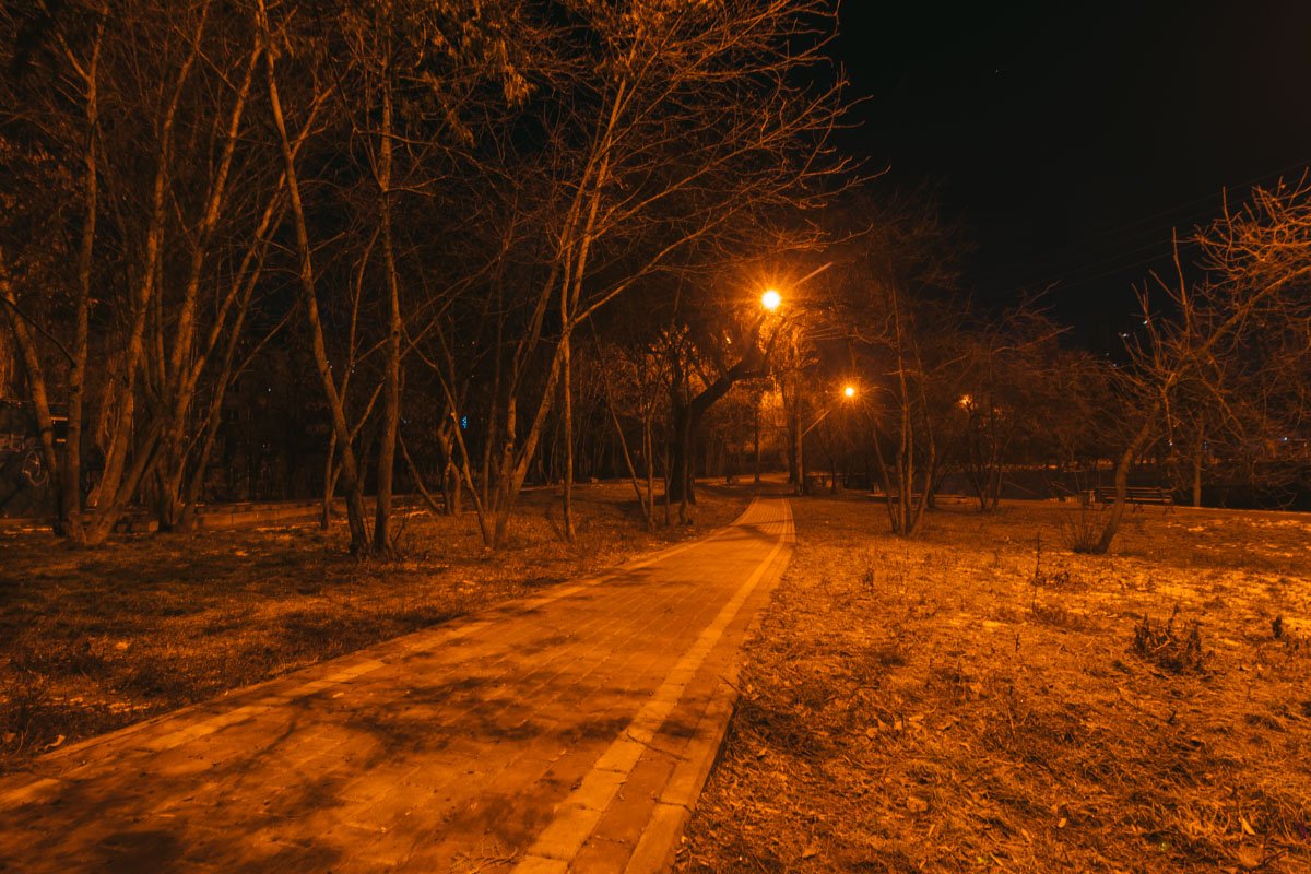 Днем суета, а ночью спокойствие