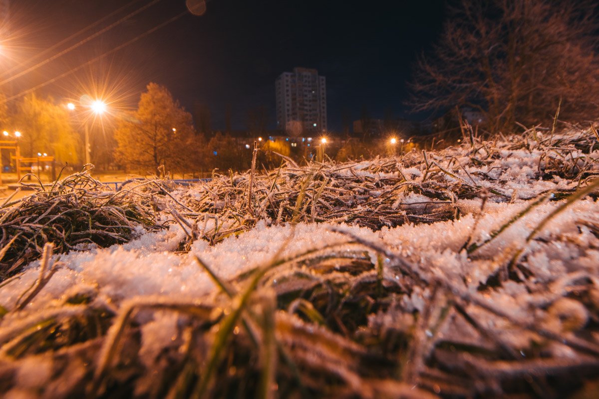 На померзшей траве можно увидеть капельку зимы