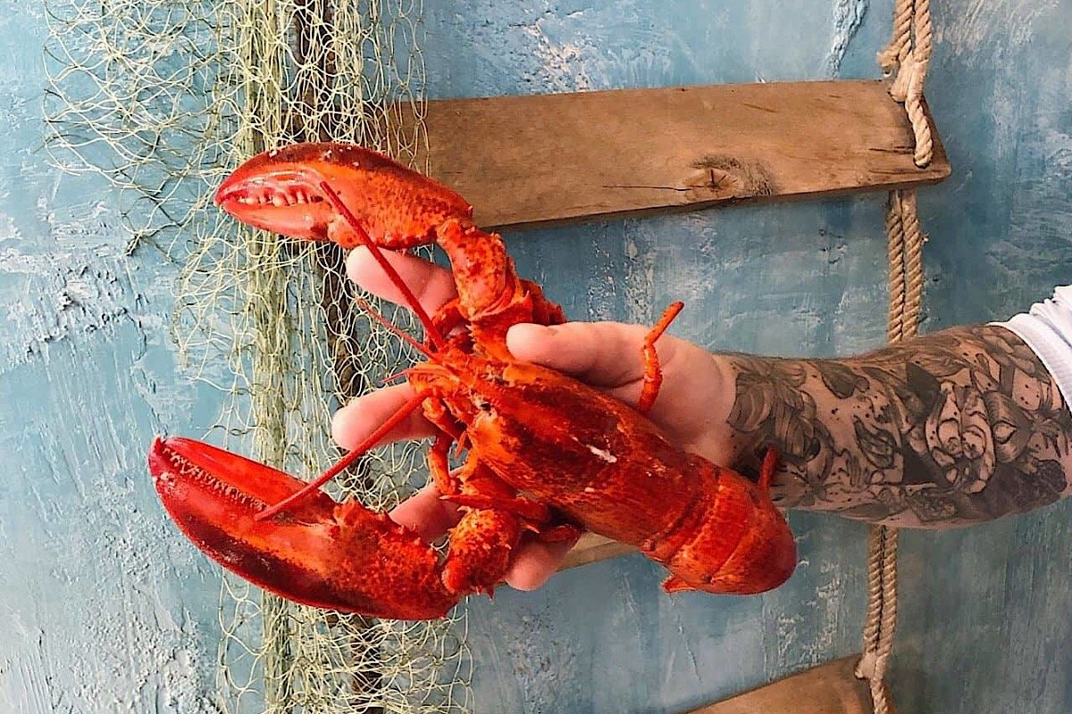 Кухня с одесской душой Кухня с одесской душой