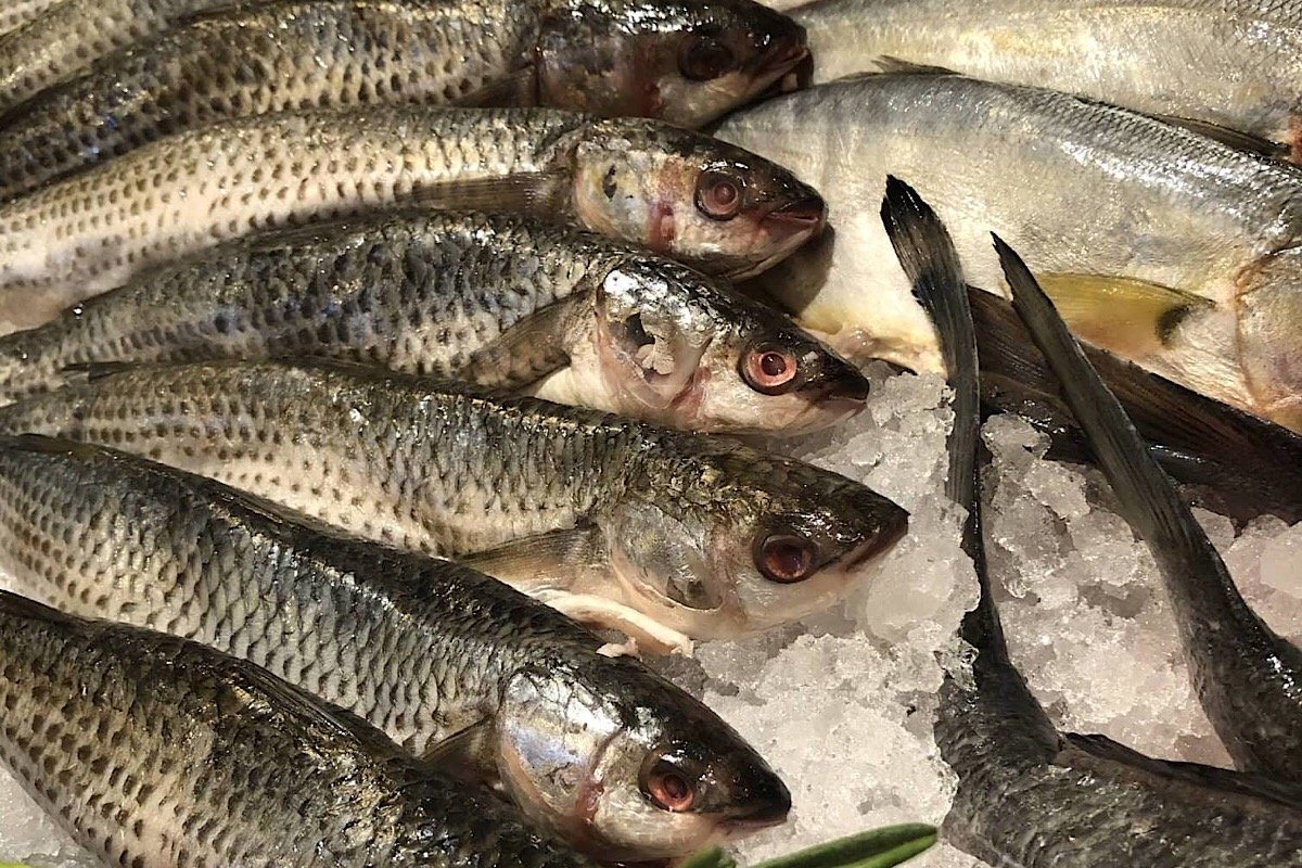 Рыбка только свежая Рыбка только свежая