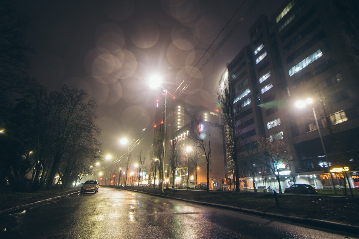 Начальная часть бульвара между улицами Гарматной и Василенко Начальная часть бульвара между улицами Гарматной и Василенко