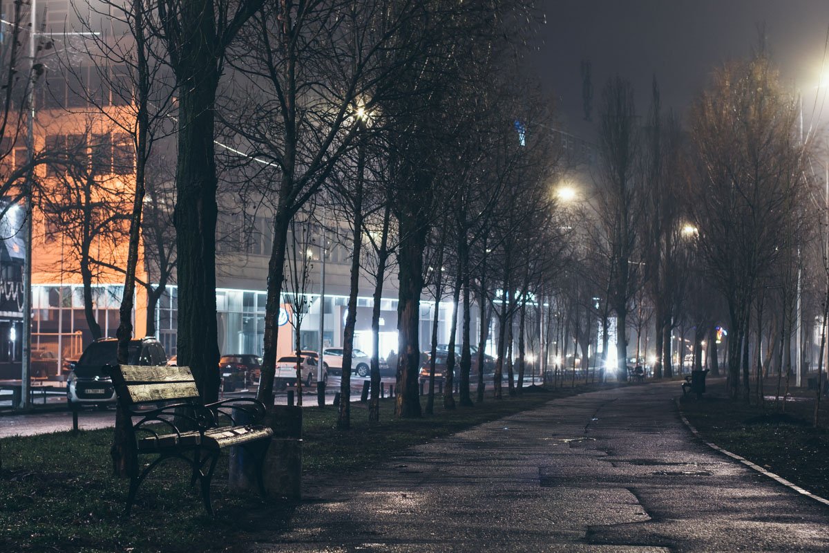 Пешеходная аллея заслуживает особого внимания Пешеходная аллея заслуживает особого внимания