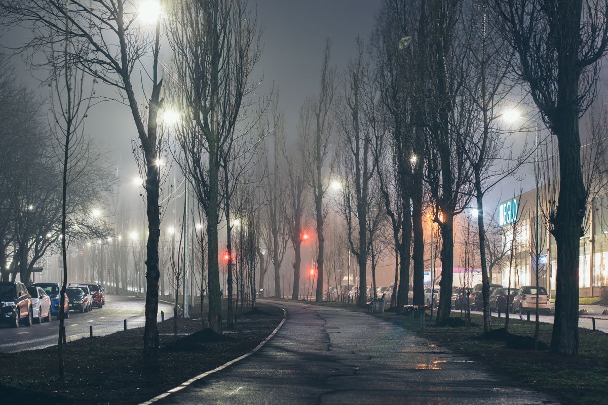По бульвару приятно прогуливаться - особенно в ночное время По бульвару приятно прогуливаться - особенно в ночное время