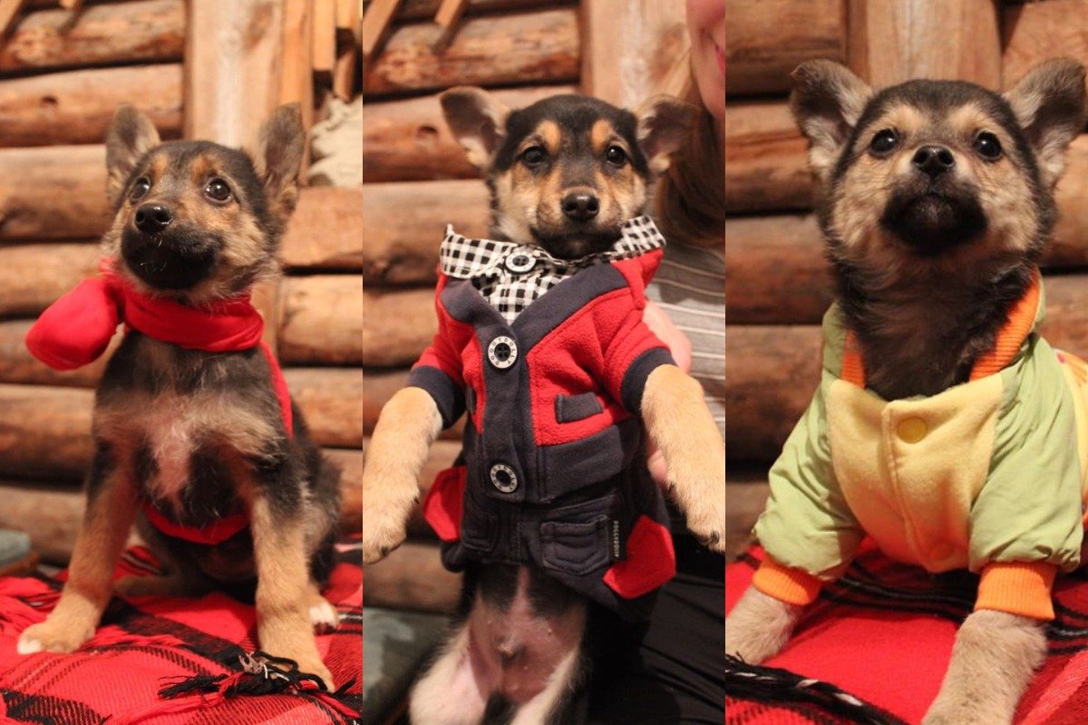 Ну разве можно устоять? Ну разве можно устоять?