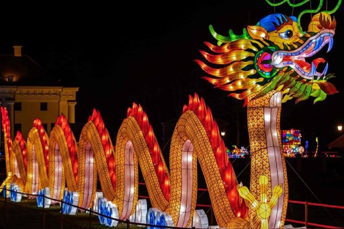 Эти фонарики сделали волшебники?