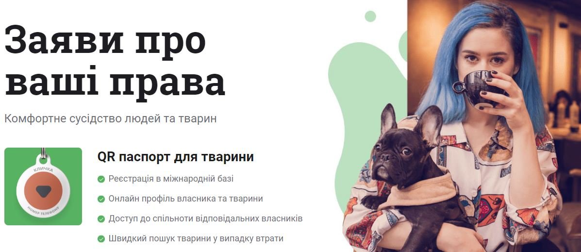 Как не потерять свою кошку или собаку в большом городе 2