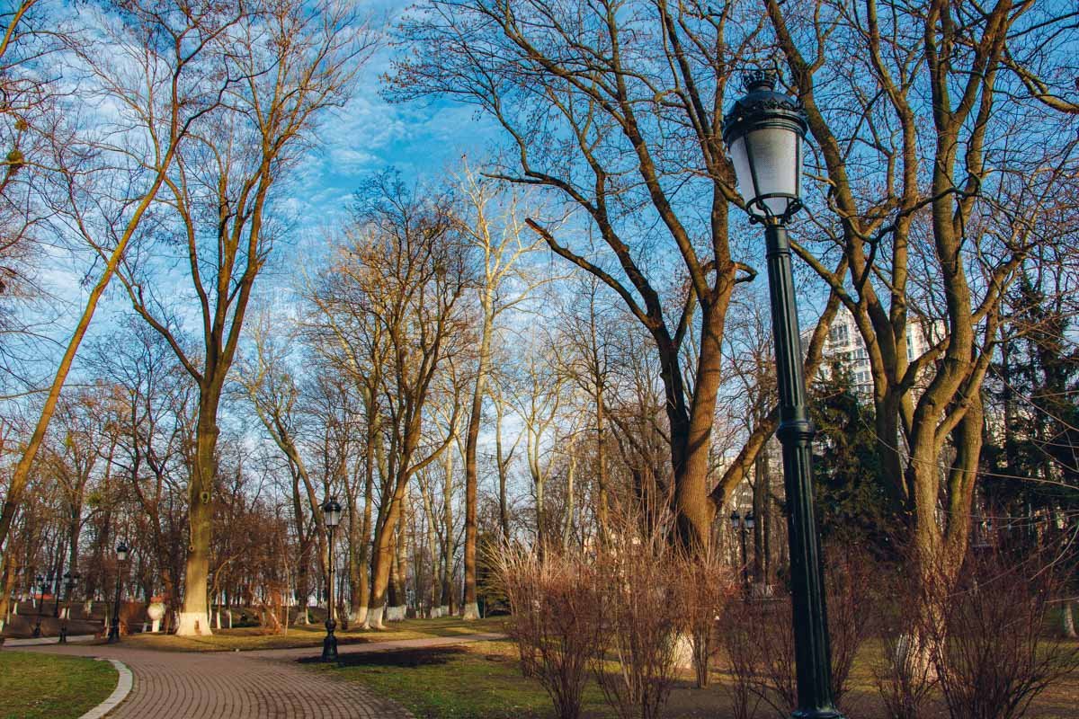 В конце 2019 года в Мариинском парке Киева провели ремонт системы освещения В конце 2019 года в Мариинском парке Киева провели ремонт системы освещения