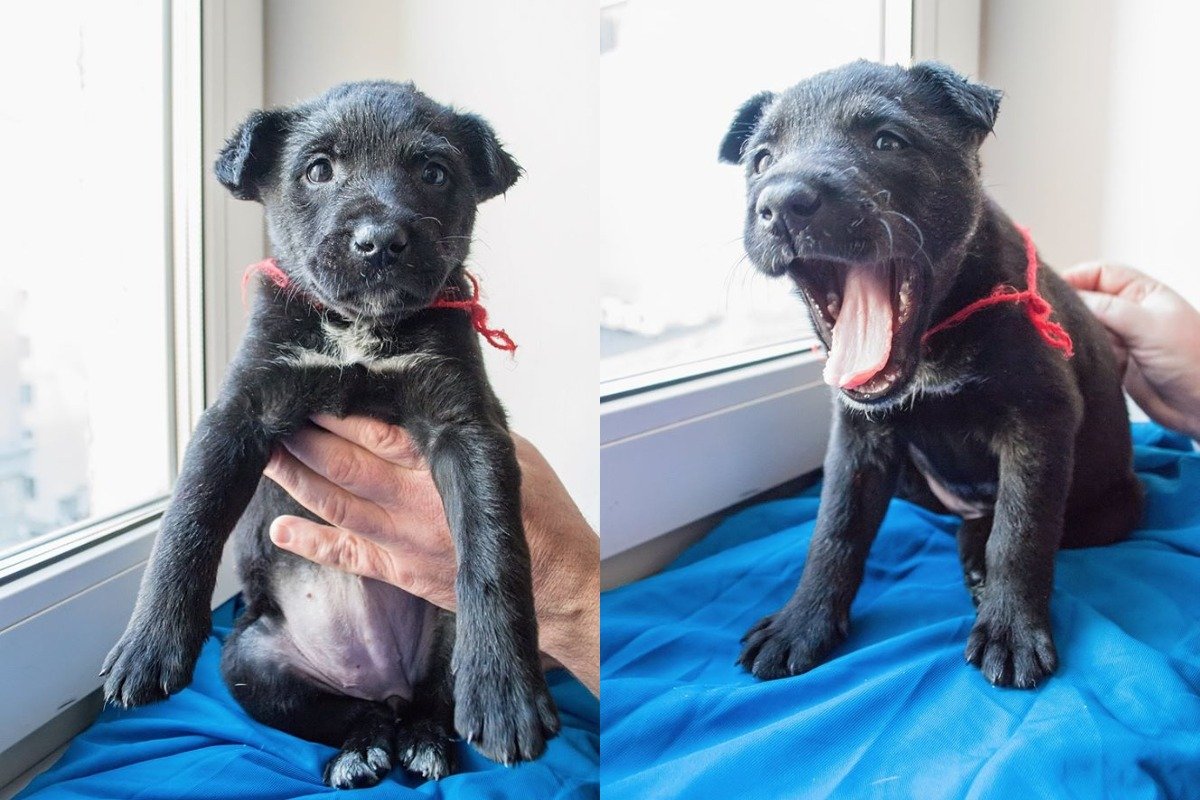 Ну как можно устоять?) Ну как можно устоять?)