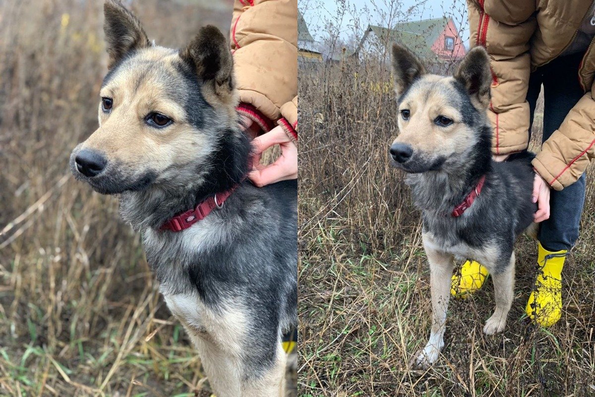 И пусть во всем мире будет Мира! И пусть во всем мире будет Мира!