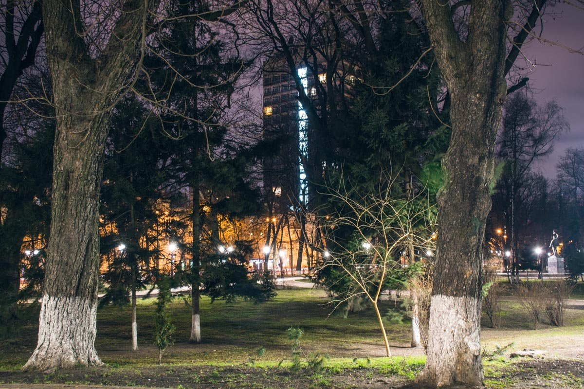 Там, за деревьями, шум машин, а в самом парке царит тишина... Там, за деревьями, шум машин, а в самом парке царит тишина...