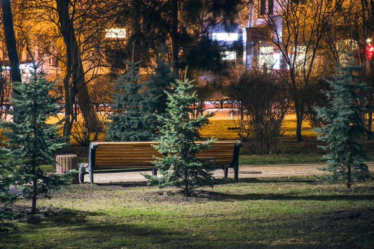 Только деревья, лавочки и ни души... Только деревья, лавочки и ни души...