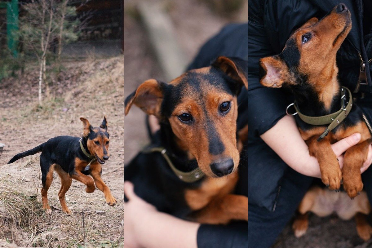 Корица - именно то, чего вам не хватало! Корица - именно то, чего вам не хватало!