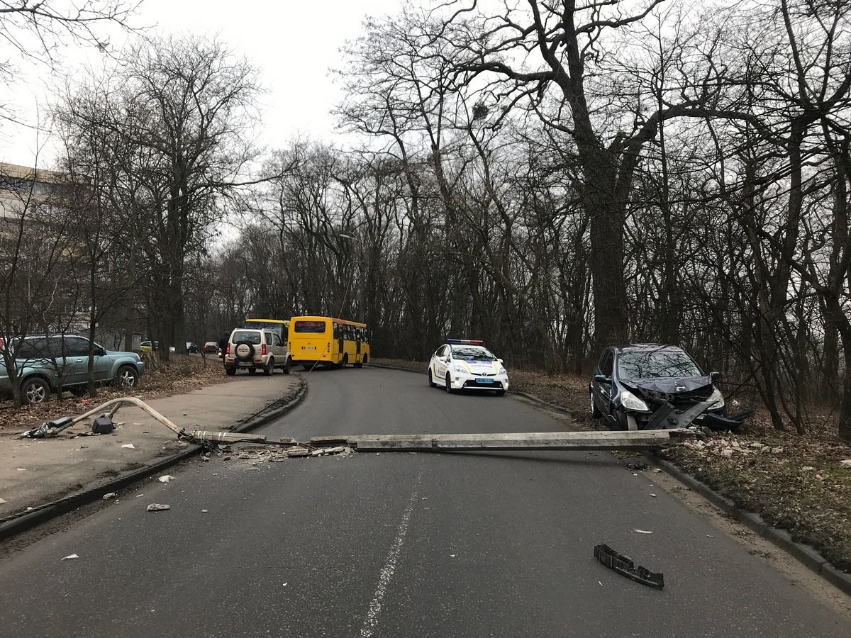 Упавший столб полностью перегородил дорогу