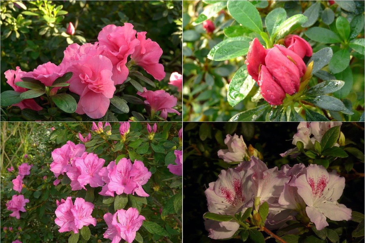 Новая фотозона для Instagram