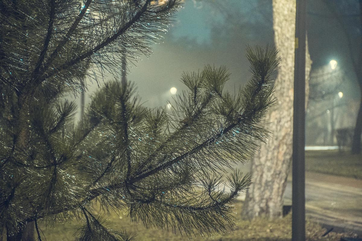 Для тех, кто ищет спокойствия или вдохновения, ночной парк Киото - это идеальная локация