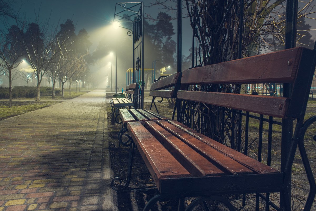 Представьте себя сидящим на лавочке в этом чудном месте в окружении тишины и могучих деревьев