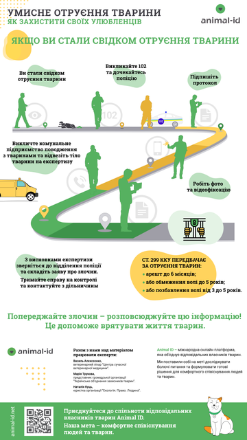 Что делать, если ваш питомец съел отраву на улице. Инфографика 2