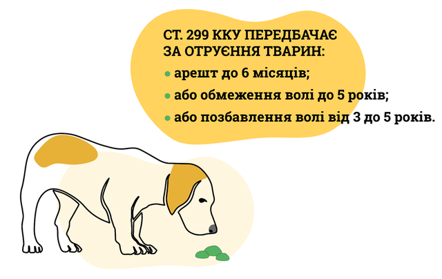 Что делать, если ваш питомец съел отраву на улице. Инфографика 3
