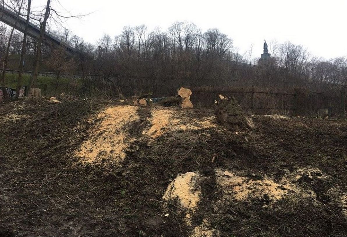 В Киеве, неподалеку от Владимирской горки, жители города заметили около сотни спиленных деревьев