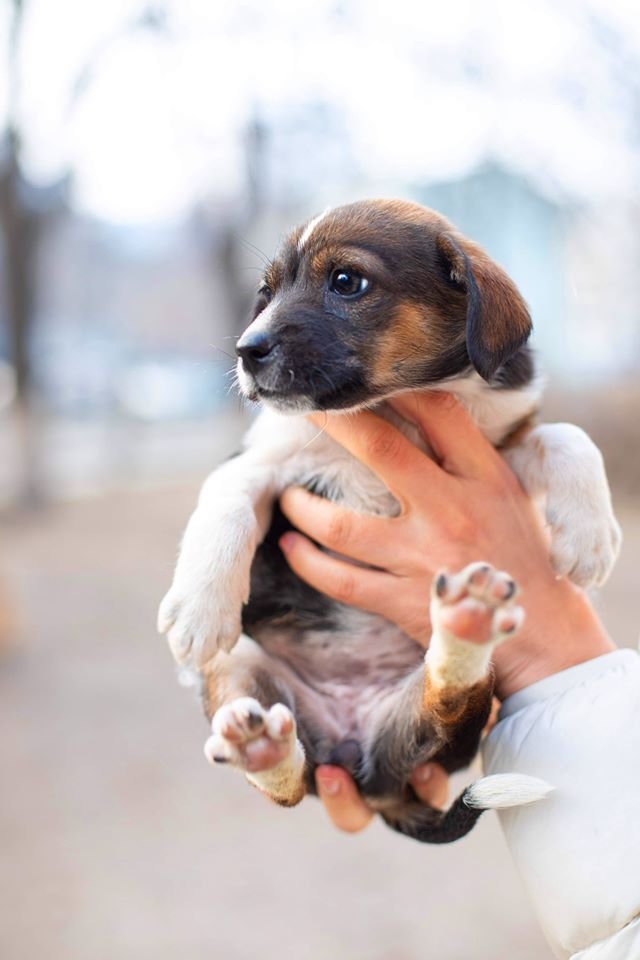 Знакомьтесь, это Тина и ей всего два месяца Знакомьтесь, это Тина и ей всего два месяца