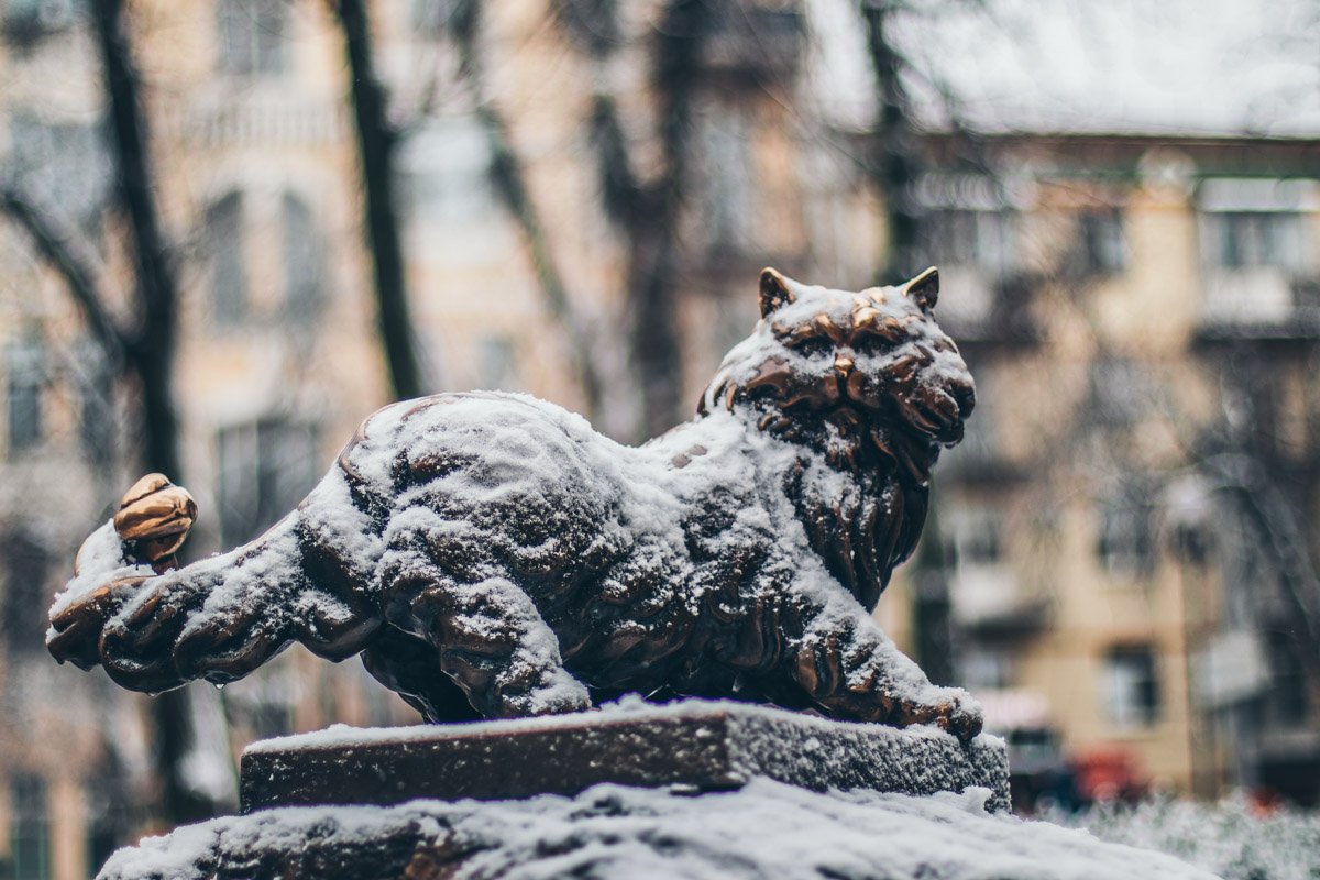 ЗаМУРчательная зима 