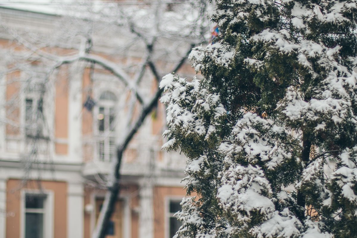 И пусть этот зимний день будет хорошим, дорогие наши читатели!