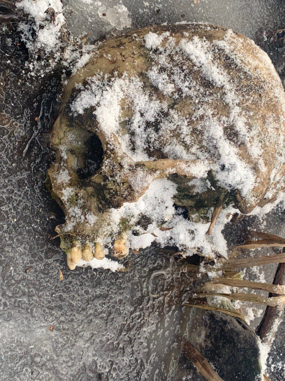 В Киеве нашли человеческие останки