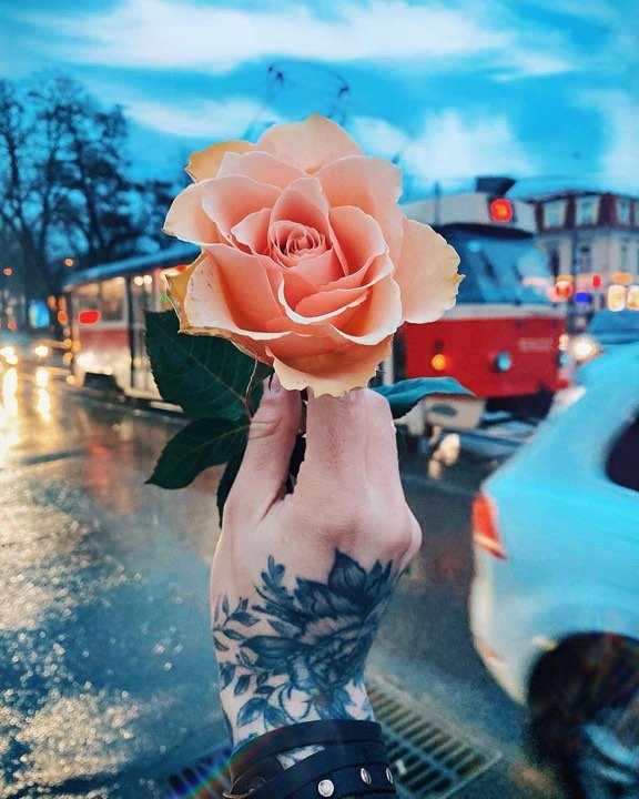 И в такие хмурые дни нужно замечать вокруг красоту. Фото: @a_straa И в такие хмурые дни нужно замечать вокруг красоту. Фото: @a_straa