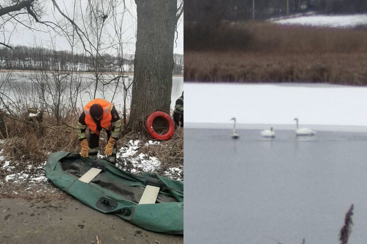 К счастью, неравнодушные люди не прошли мимо, а позвонили в спасательные службы К счастью, неравнодушные люди не прошли мимо, а позвонили в спасательные службы
