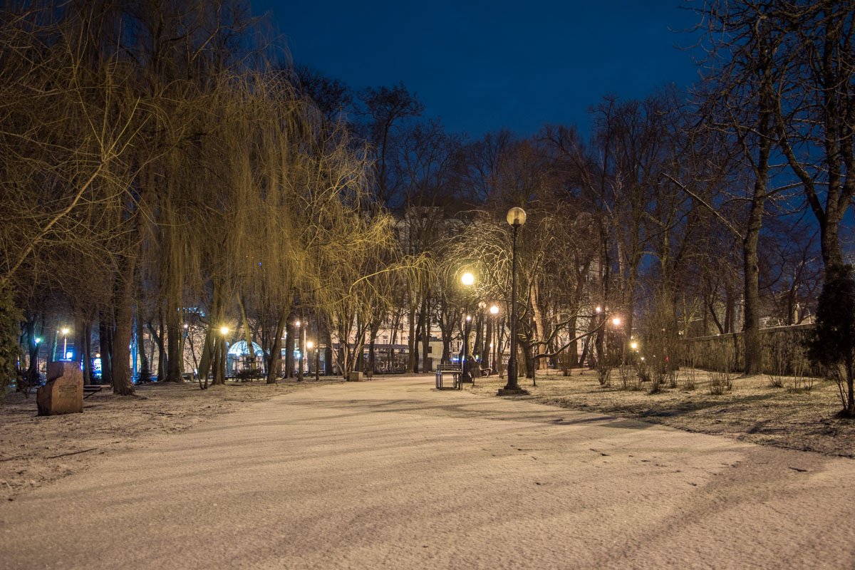 Парк Шевченко в это утро полностью укрылся снежным одеялом