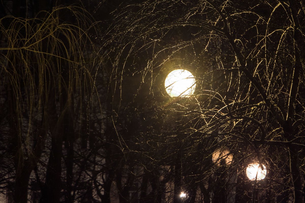 Добавляет таинственности окружению еще и освещение