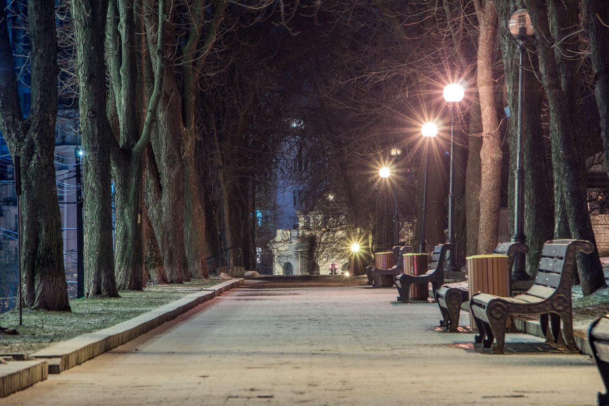 Такие аллеи сами по себе вдохновляют на долгие прогулки