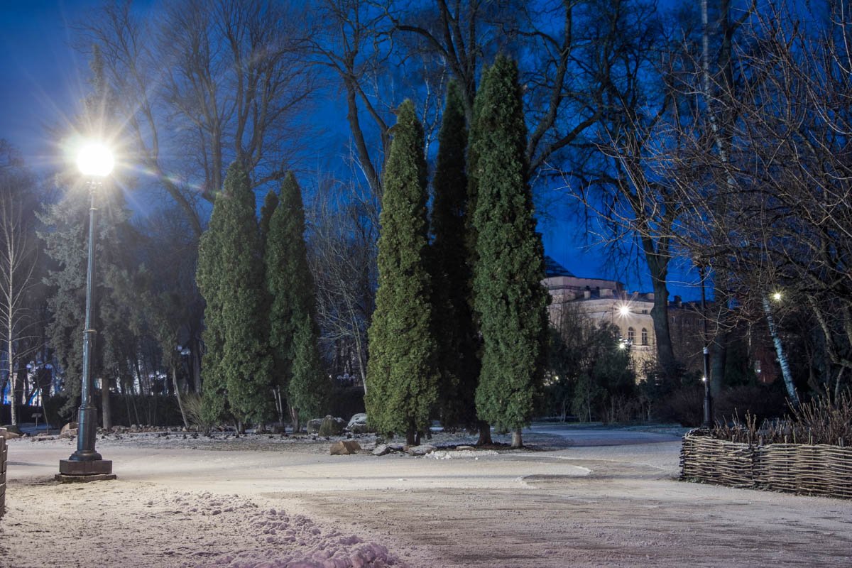 Изумрудная зелень и ослепительная белизна - отличное сочетание красок