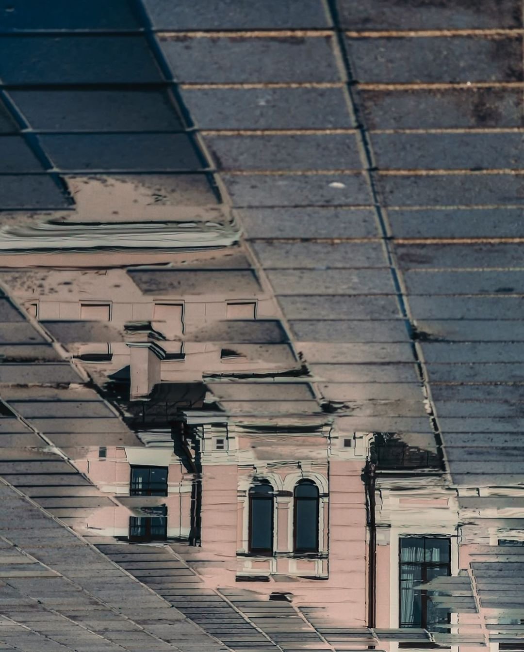 Этой зимой дома вдоволь насмотрелись на себя "в зеркало". Фото: @fantakr Этой зимой дома вдоволь насмотрелись на себя "в зеркало". Фото: @fantakr