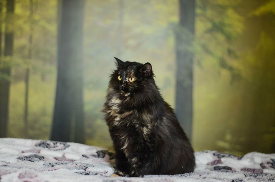 И пусть ваша жизнь с ней будет белиссимо! И пусть ваша жизнь с ней будет белиссимо!