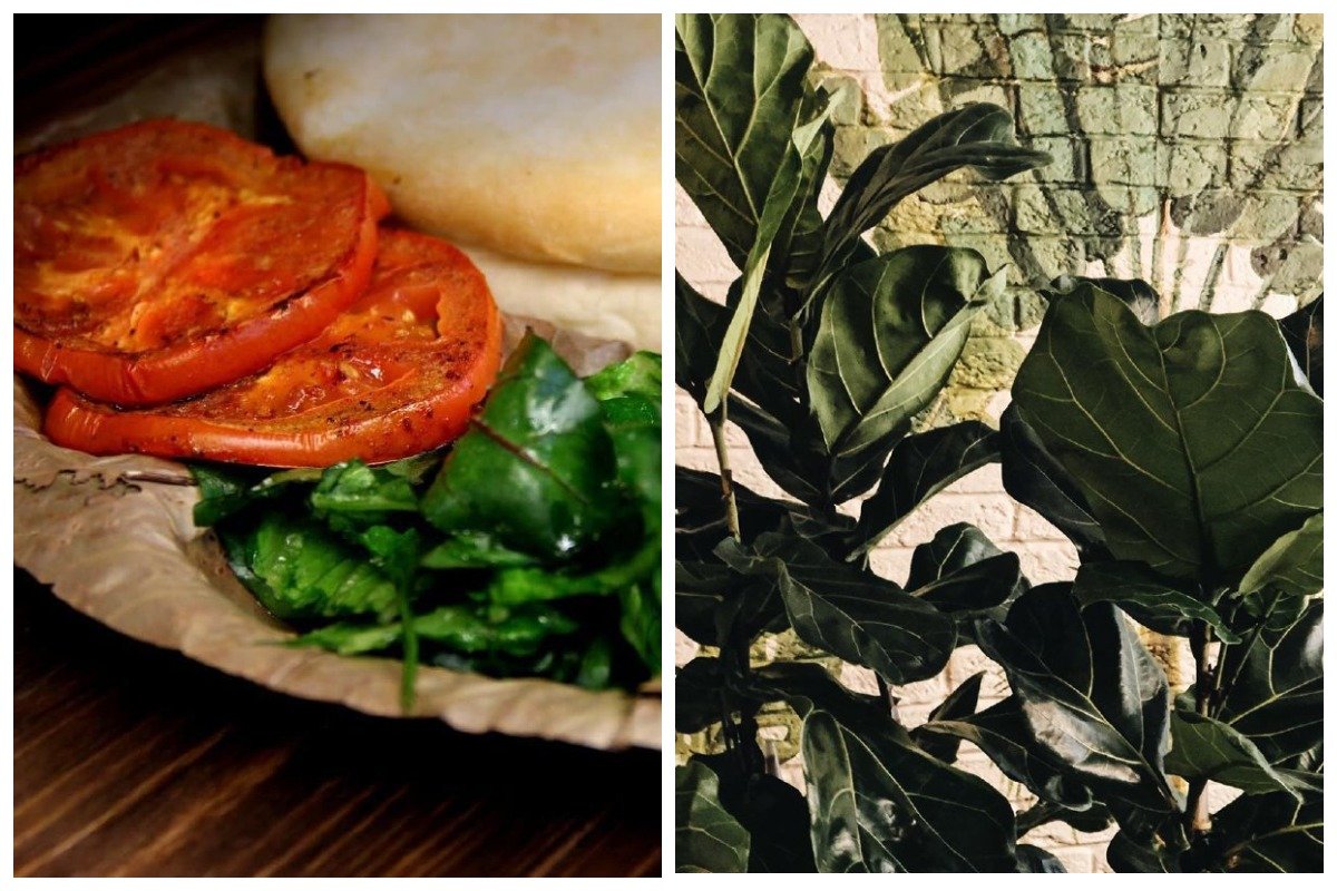 Из вега-портала DYVO вы точно не уйдете голодными!