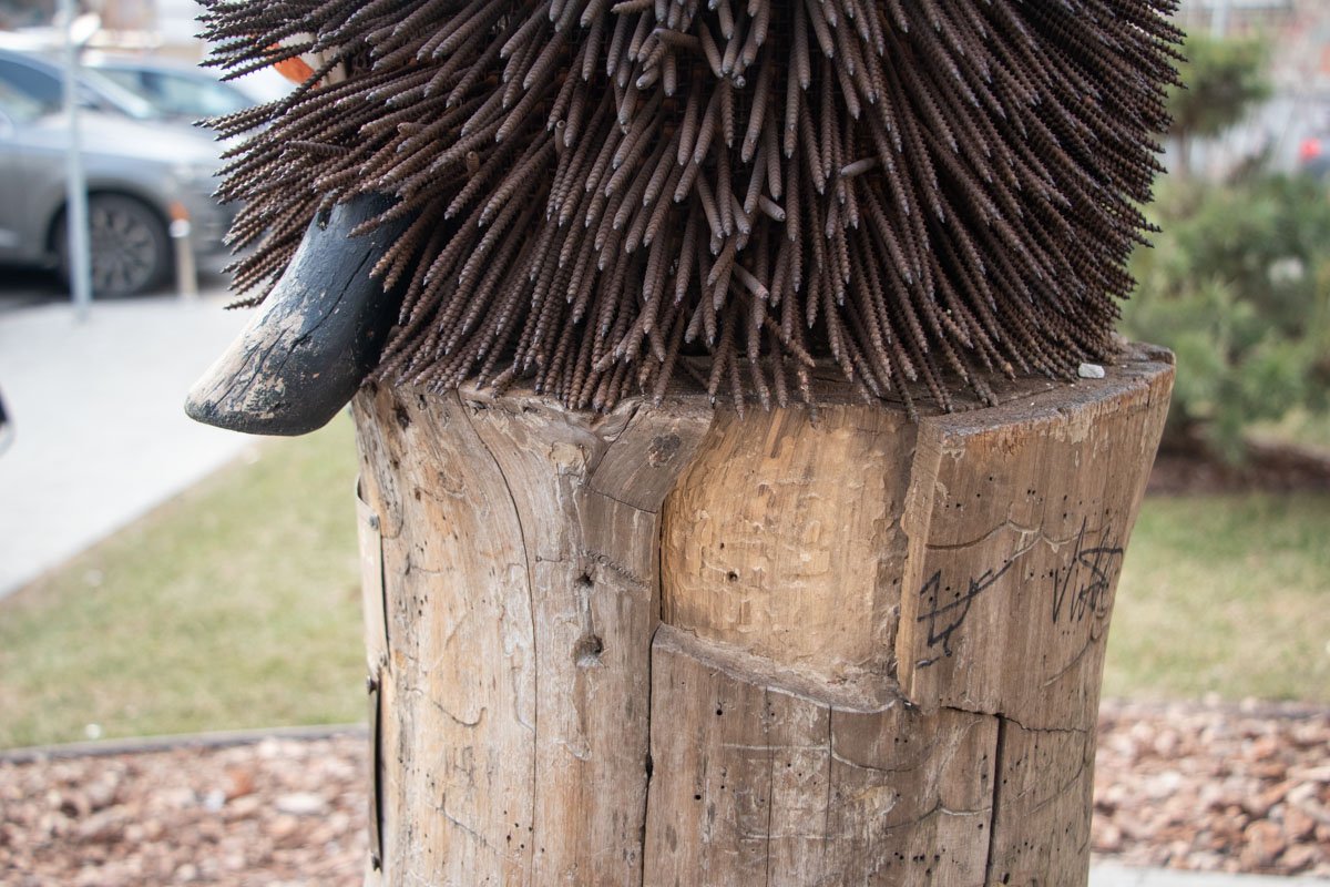 Как рассказал нам автор скульптуры Константин Скритуцкий, Ежик слегка облез из-за перепадов температуры Как рассказал нам автор скульптуры Константин Скритуцкий, Ежик слегка облез из-за перепадов температуры