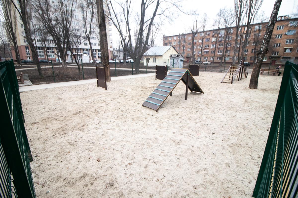 Здесь можно тренировать собак 