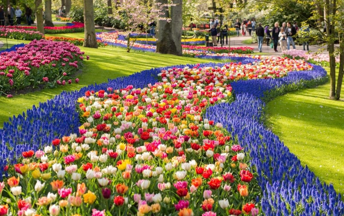 Королевский парк в Кекенхофе