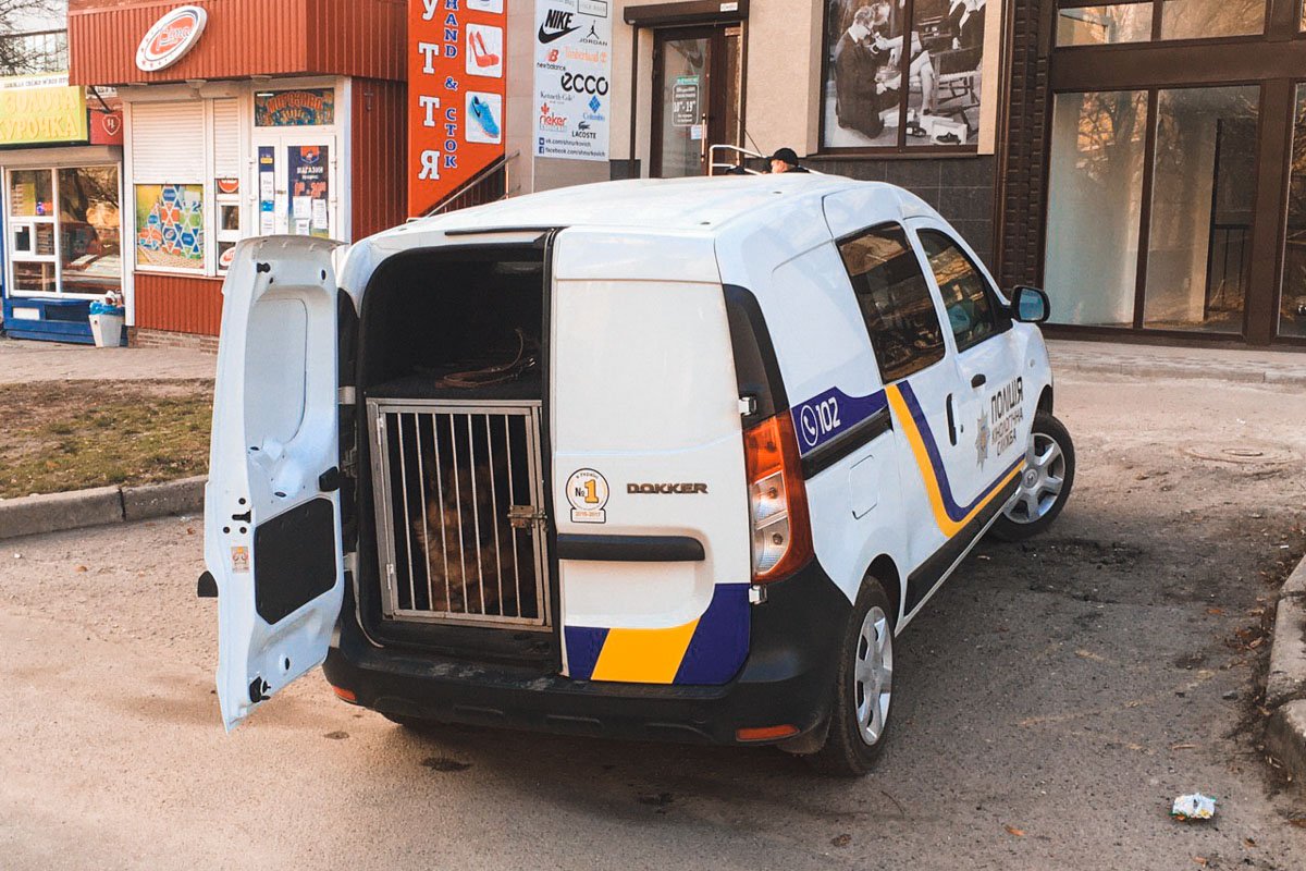 На место направили экстренные службы города