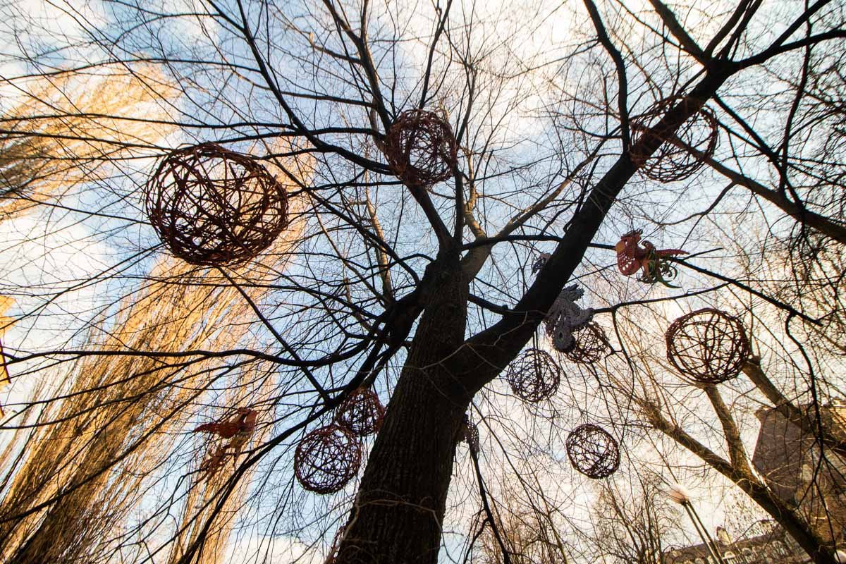 Весна, это ты?