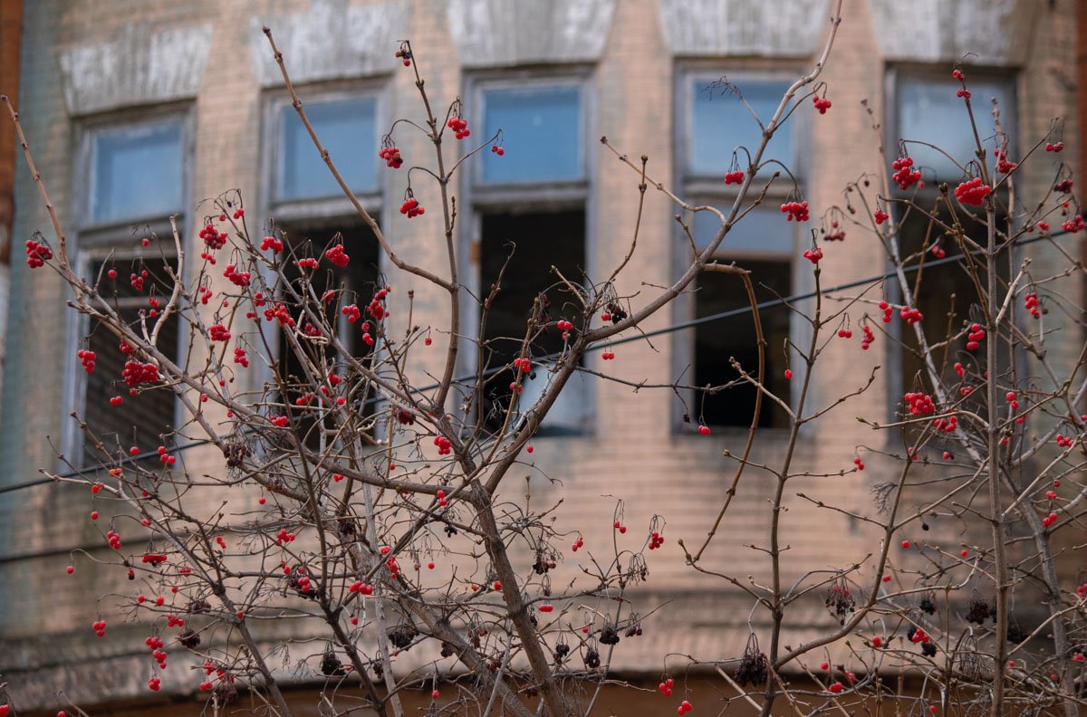 Так выглядит весна 