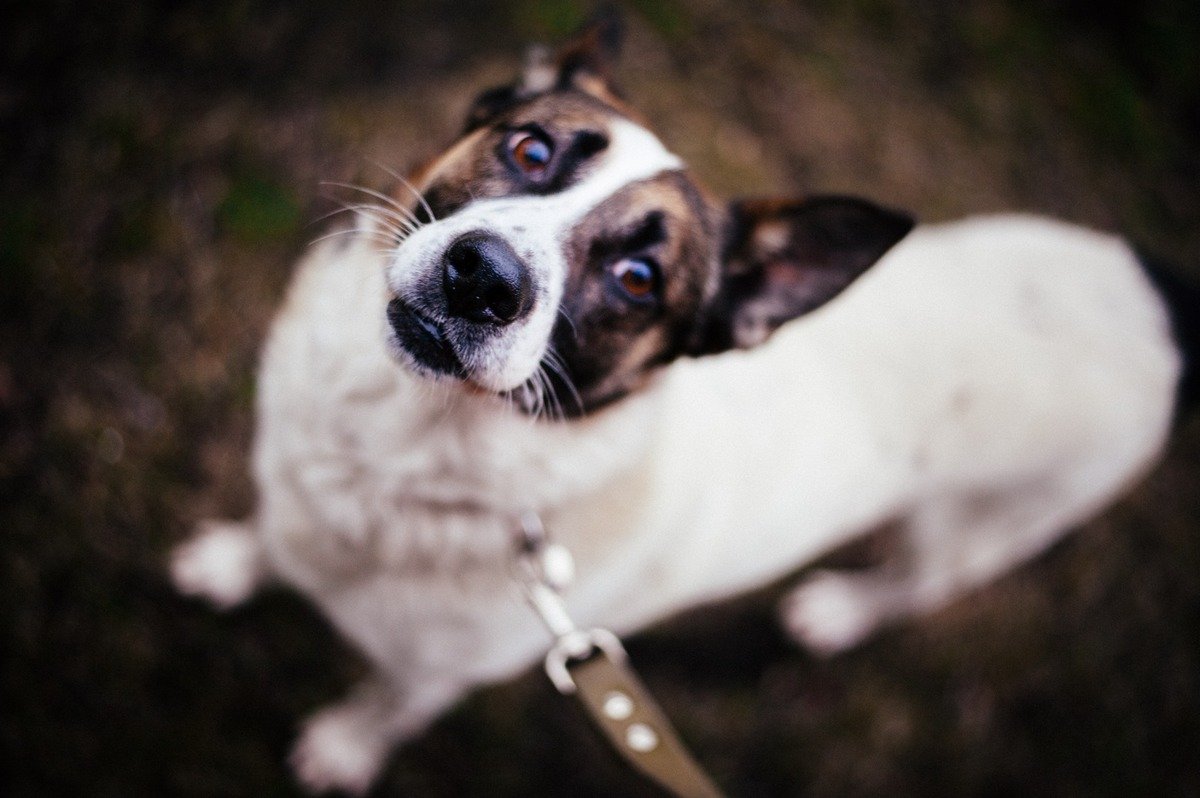 Малыш нереальный добряк Малыш нереальный добряк