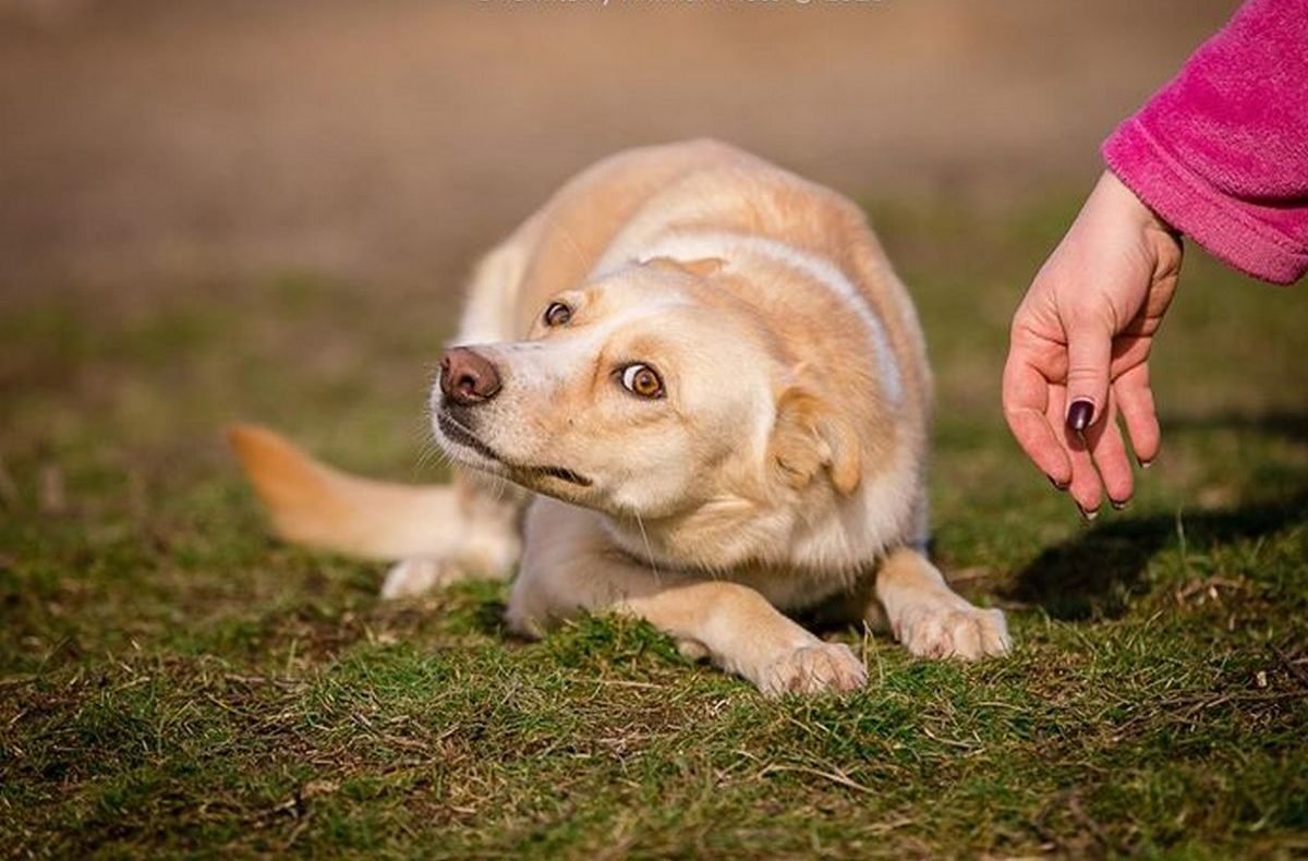 Мили не страшно ничего, но не хватает любви Мили не страшно ничего, но не хватает любви